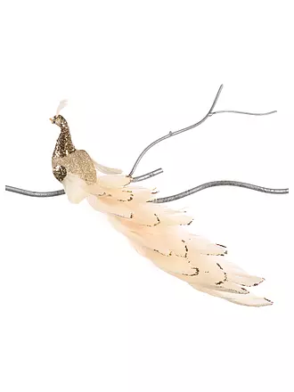 GOODWILL | Dekofigur Peacock on Clip 28cm champ/cream | 